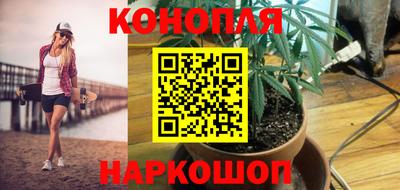 спайс Донской