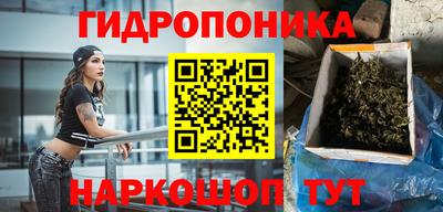 скорость Дубна