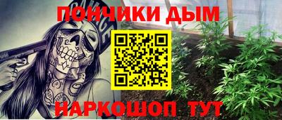 скорость Дубна