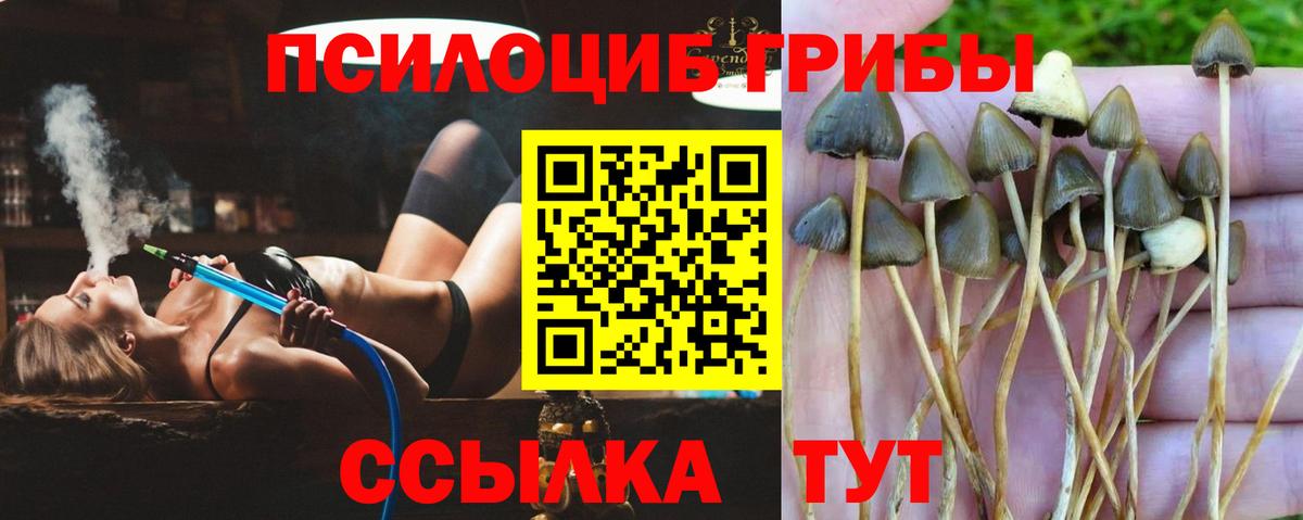 Псилоцибиновые грибы мухоморы Кушва